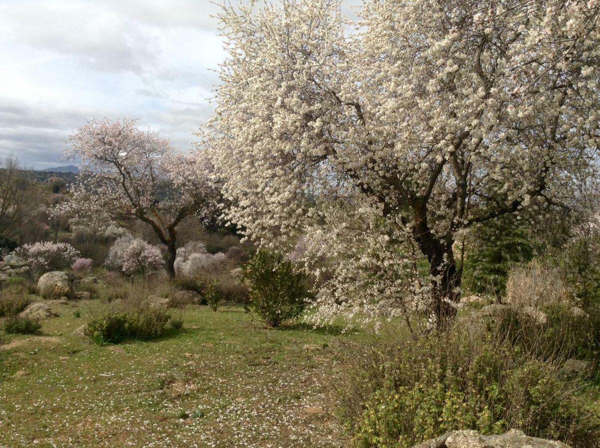 Finca El Cerco A 5M De Puy Du Fou Y 10M A Casco Antiguo De Toledo Villa Arges ภายนอก รูปภาพ
