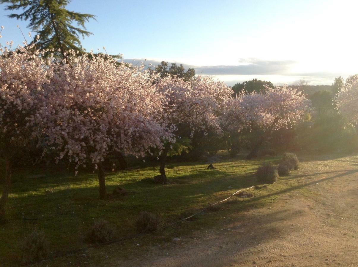 Finca El Cerco A 5M De Puy Du Fou Y 10M A Casco Antiguo De Toledo Villa Arges ภายนอก รูปภาพ