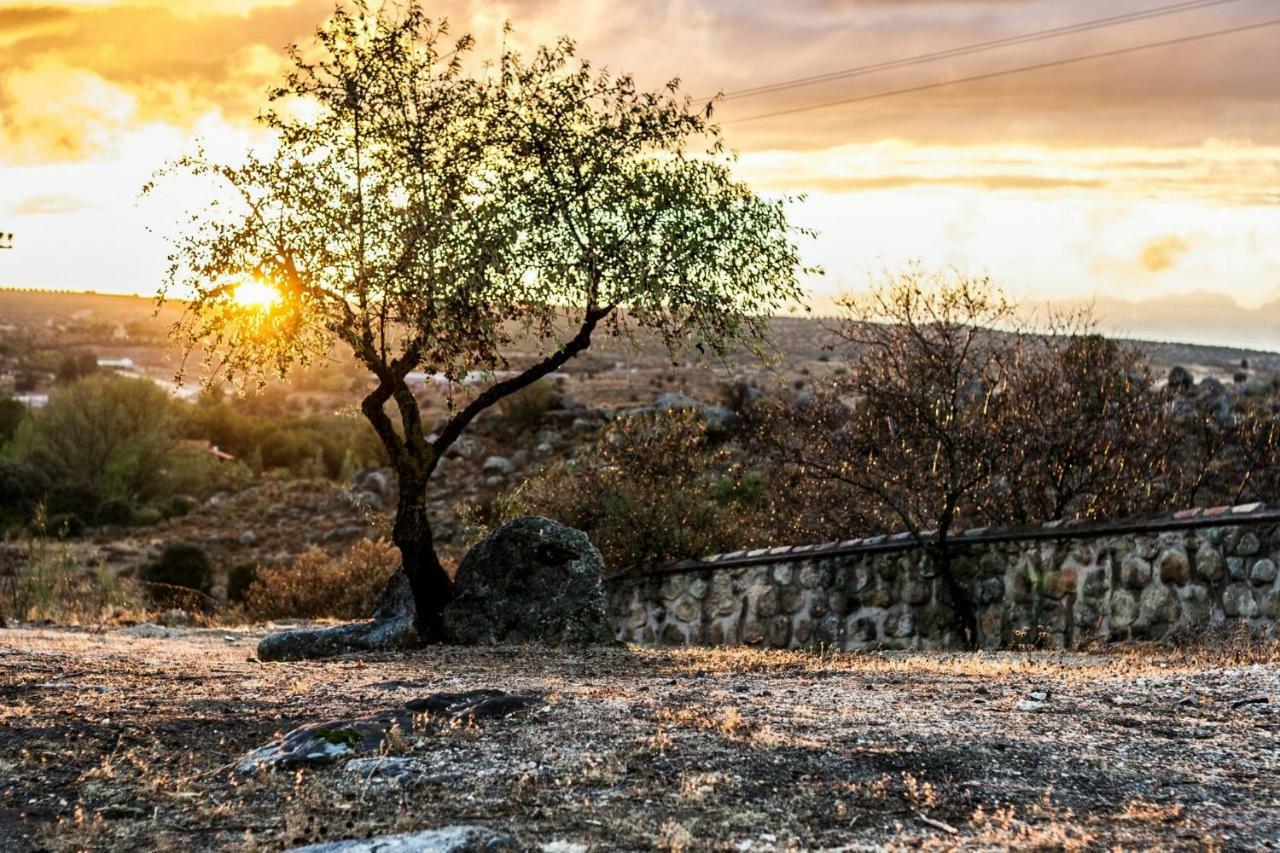 Finca El Cerco A 5M De Puy Du Fou Y 10M A Casco Antiguo De Toledo Villa Arges ภายนอก รูปภาพ