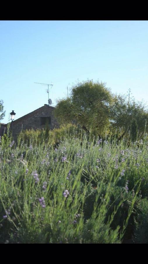 Finca El Cerco A 5M De Puy Du Fou Y 10M A Casco Antiguo De Toledo Villa Arges ภายนอก รูปภาพ