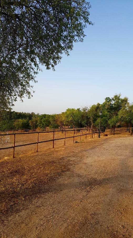 Finca El Cerco A 5M De Puy Du Fou Y 10M A Casco Antiguo De Toledo Villa Arges ภายนอก รูปภาพ