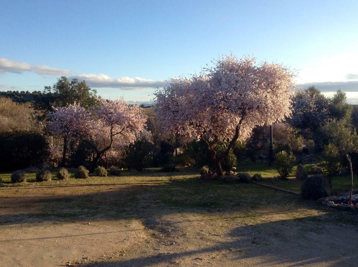 Finca El Cerco A 5M De Puy Du Fou Y 10M A Casco Antiguo De Toledo Villa Arges ภายนอก รูปภาพ
